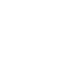 icon-white group